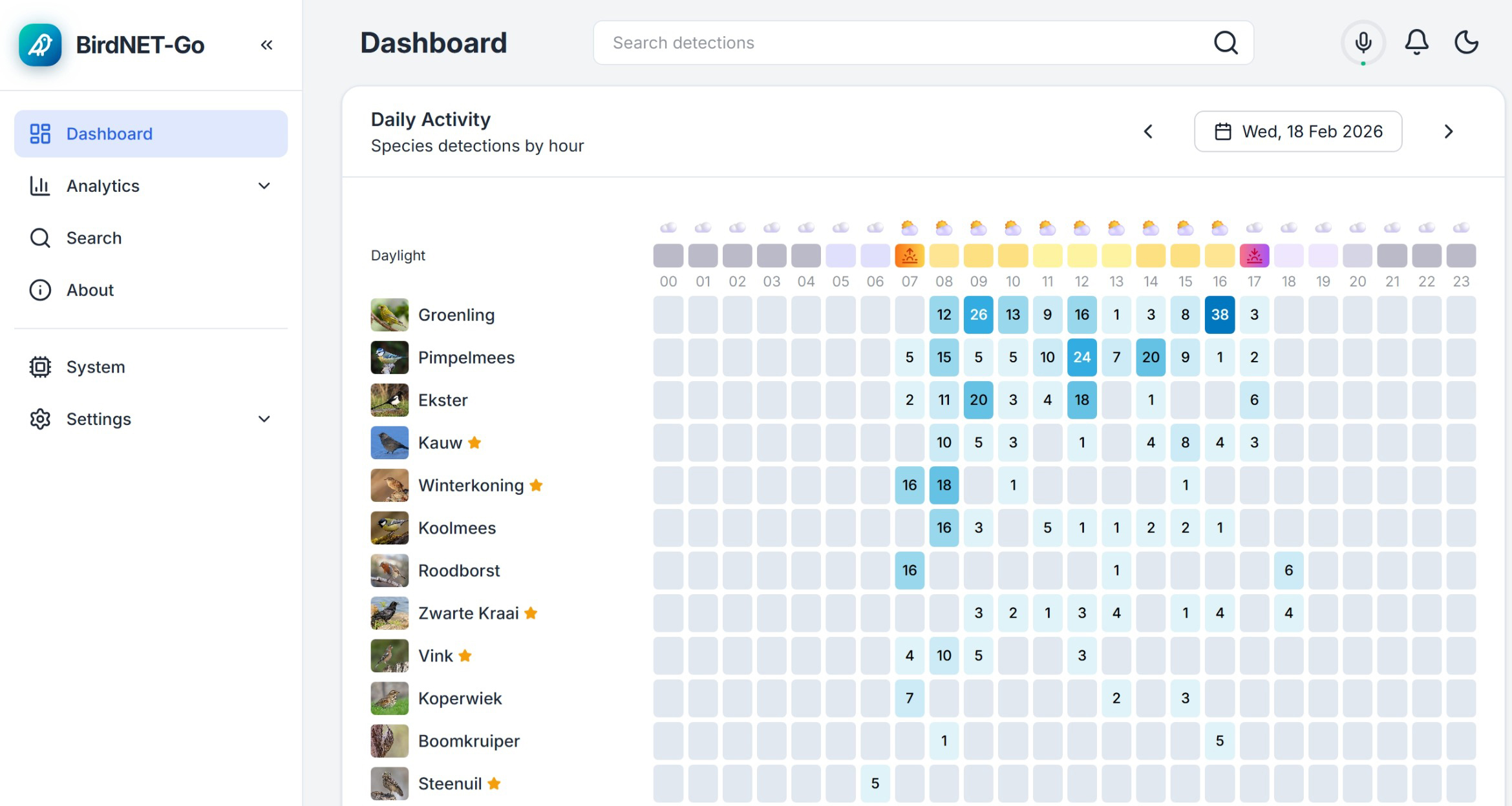 dashboard birdnet go